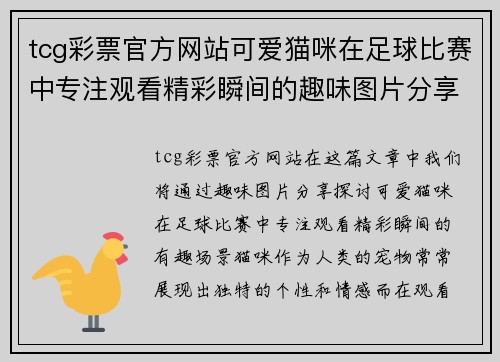 tcg彩票官方网站可爱猫咪在足球比赛中专注观看精彩瞬间的趣味图片分享